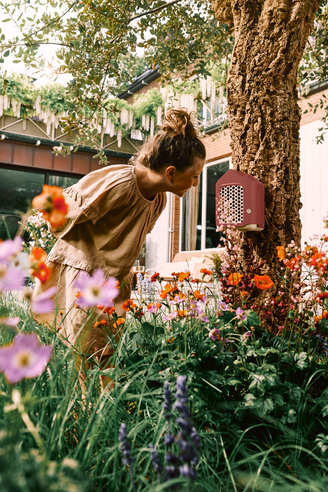 Cosy Insect Hotel 18