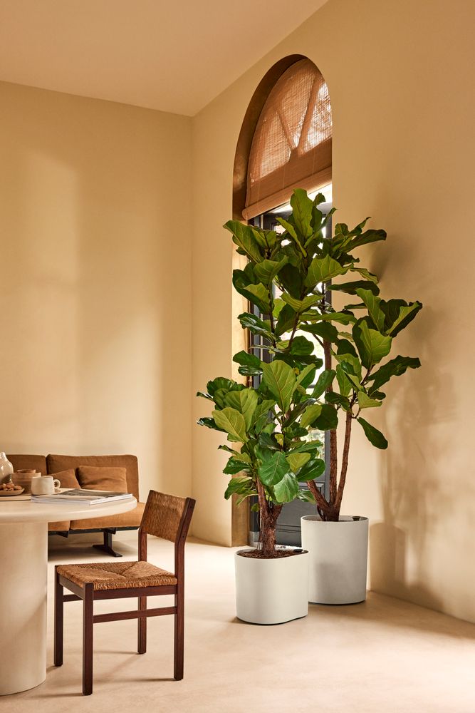 Eden Aquacare Medium 40