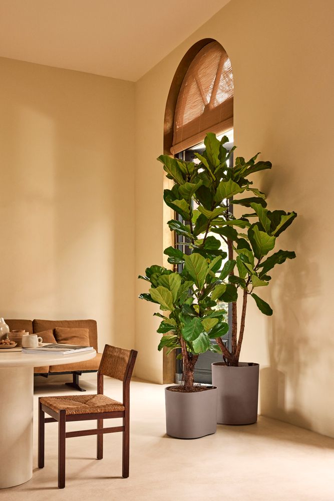 Eden Aquacare Medium 40