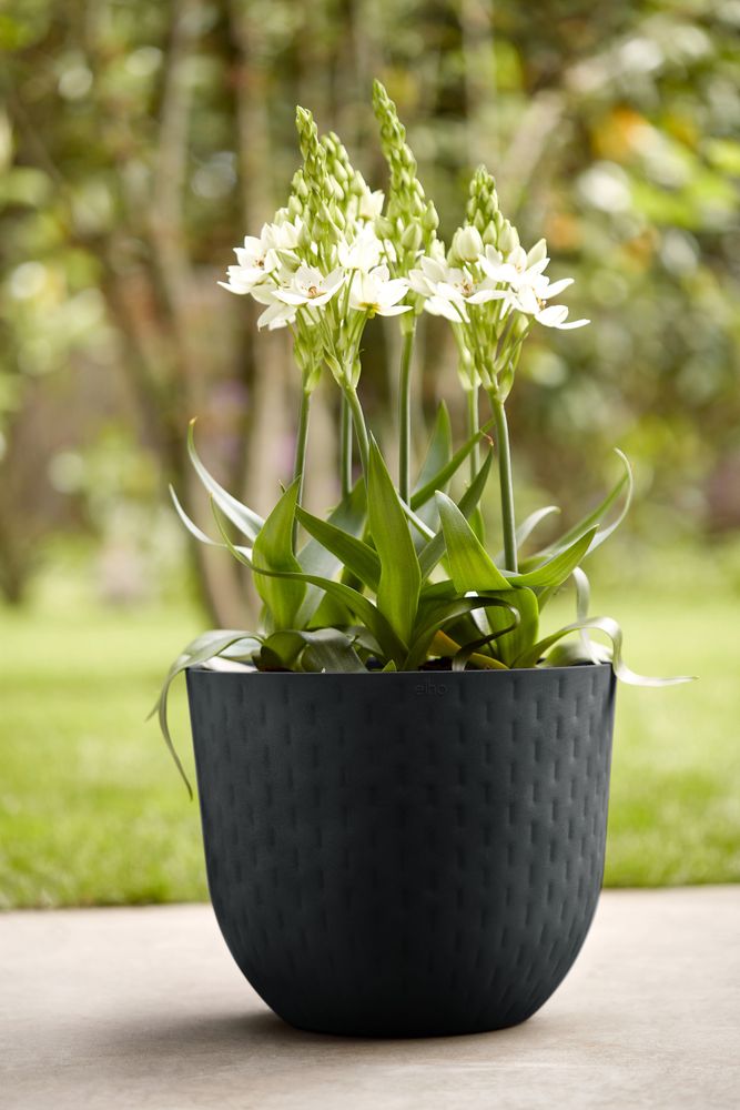 Fuente Grains Rond 30