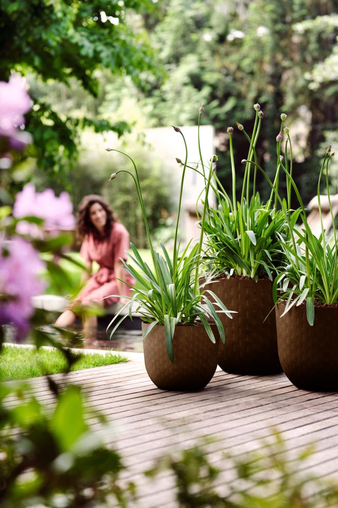 Fuente Grains Rond 47