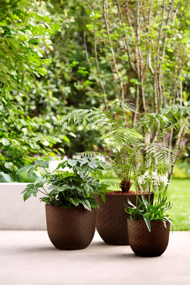 Fuente Grains Rond 30