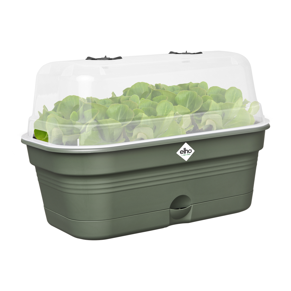Green Basics Kweektray Allin1 L