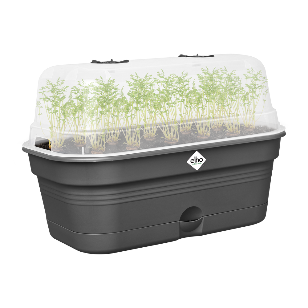 Green Basics Kweektray Allin1 L