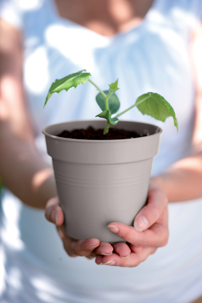 Green Basics Kweekpot 17