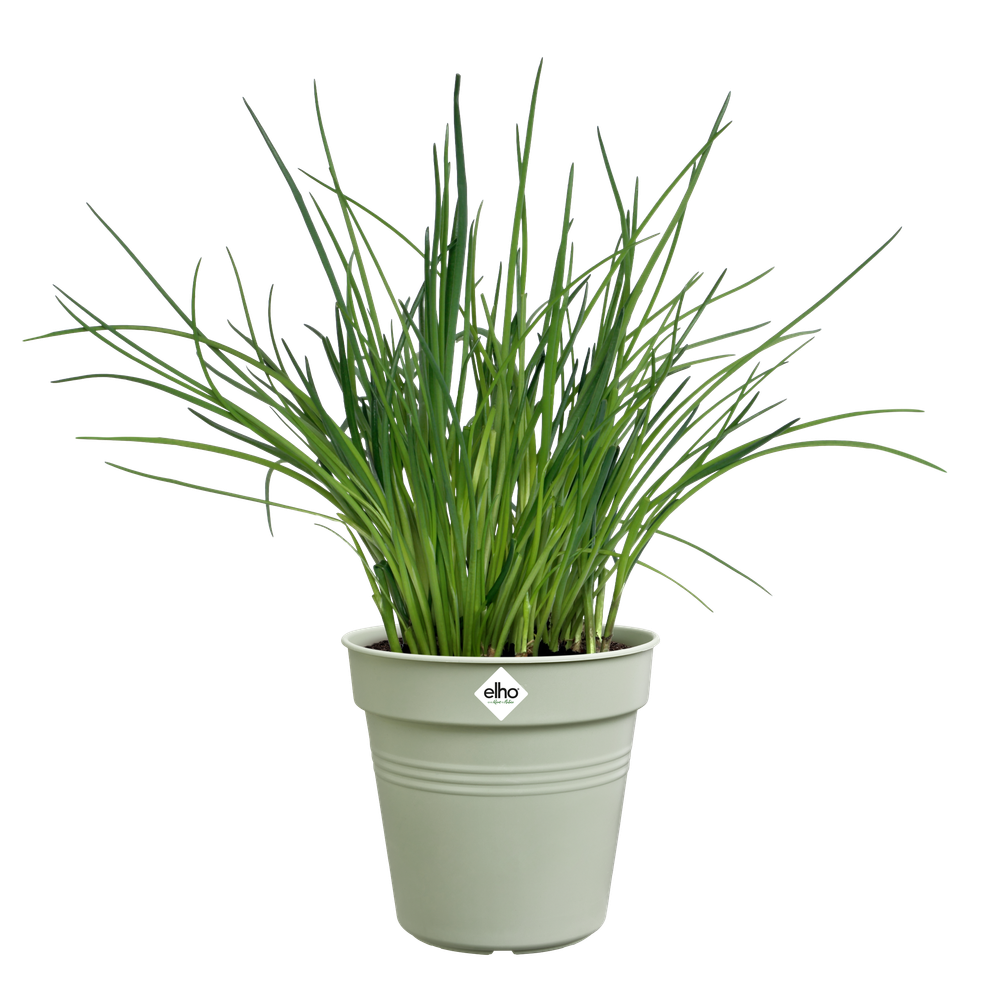 Green Basics Kweekpot 15