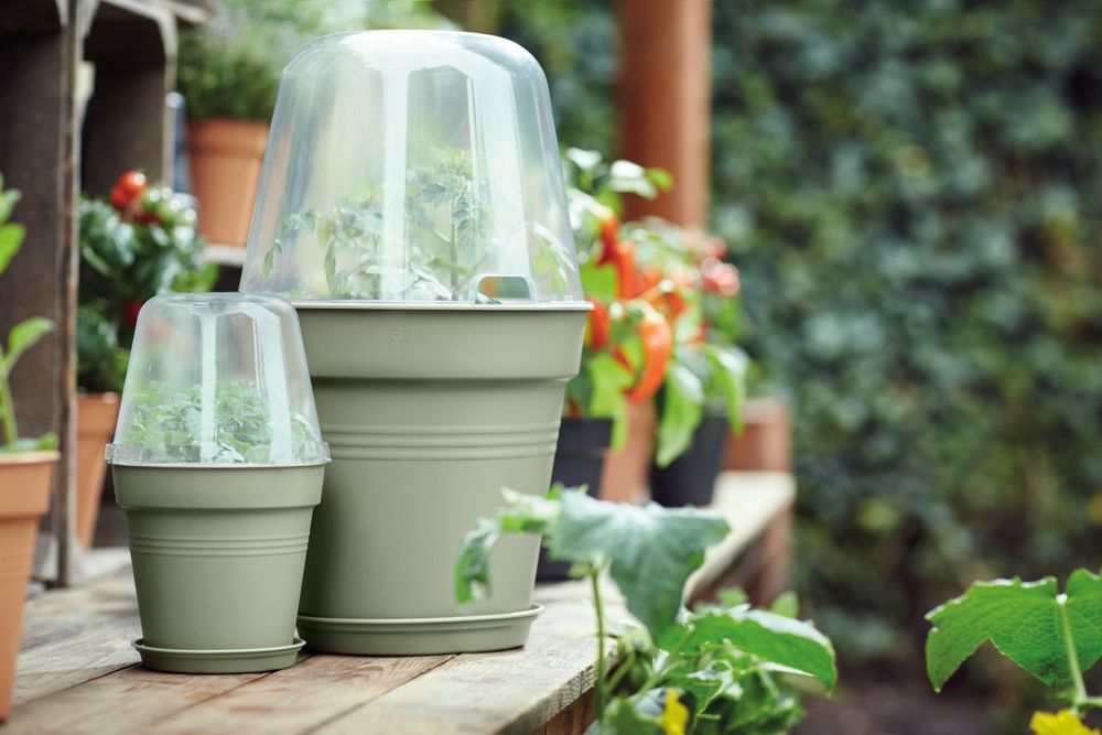 Green Basics Kweekpot 17