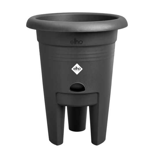 Green Basics Aardbeien Pot 33