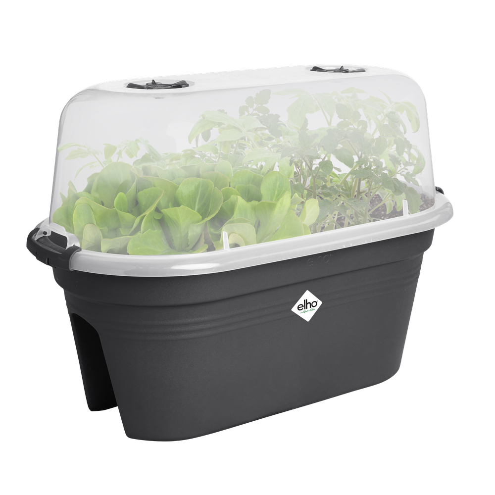 Green Basics Balcony Grow Set 55