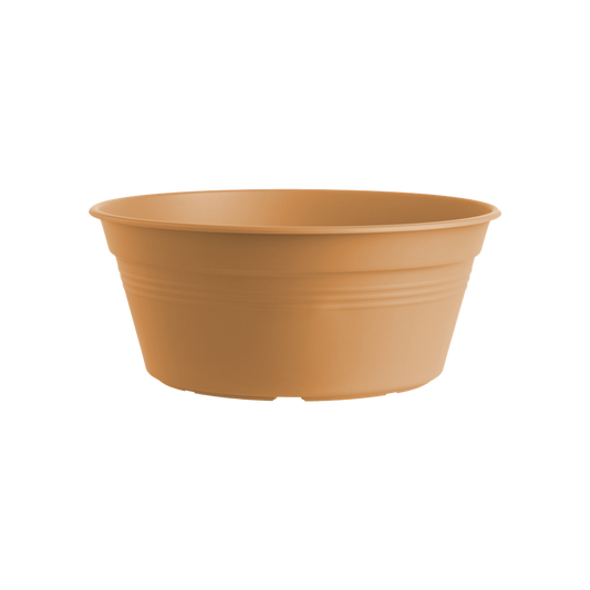 Green Basics Schaal 38