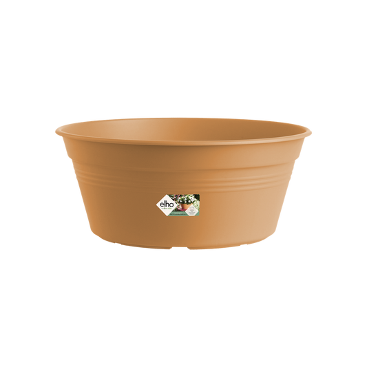 Green Basics Schaal 38