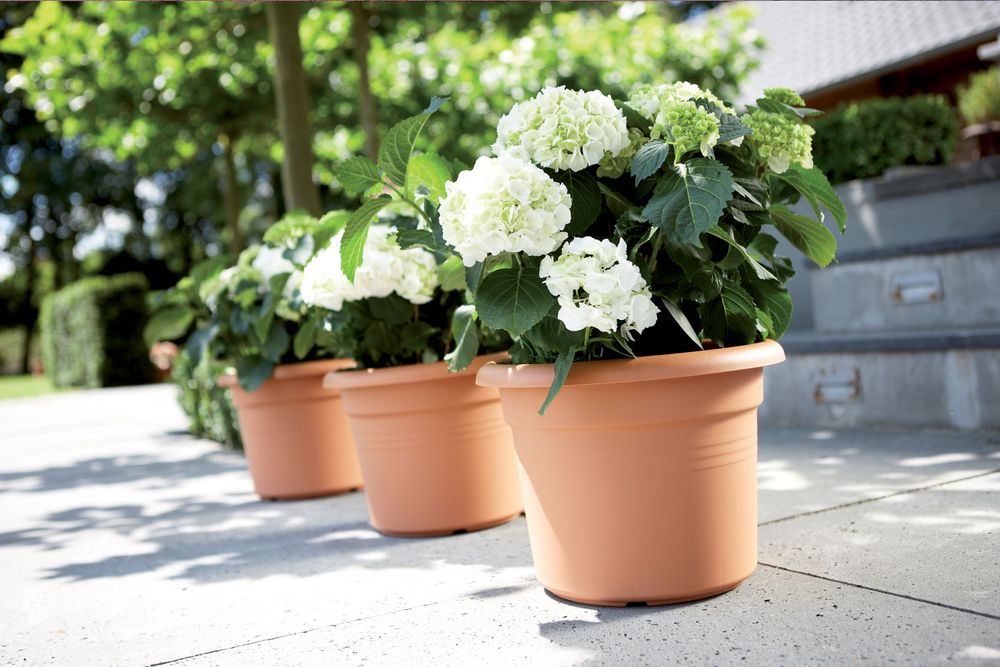 Green Basics Cilinder 80