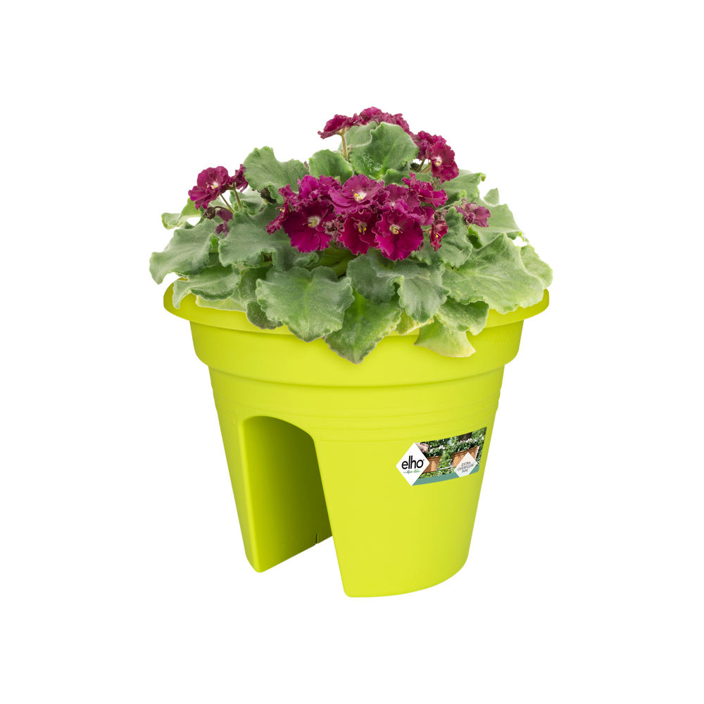 Green Basics Flower Bridge 30