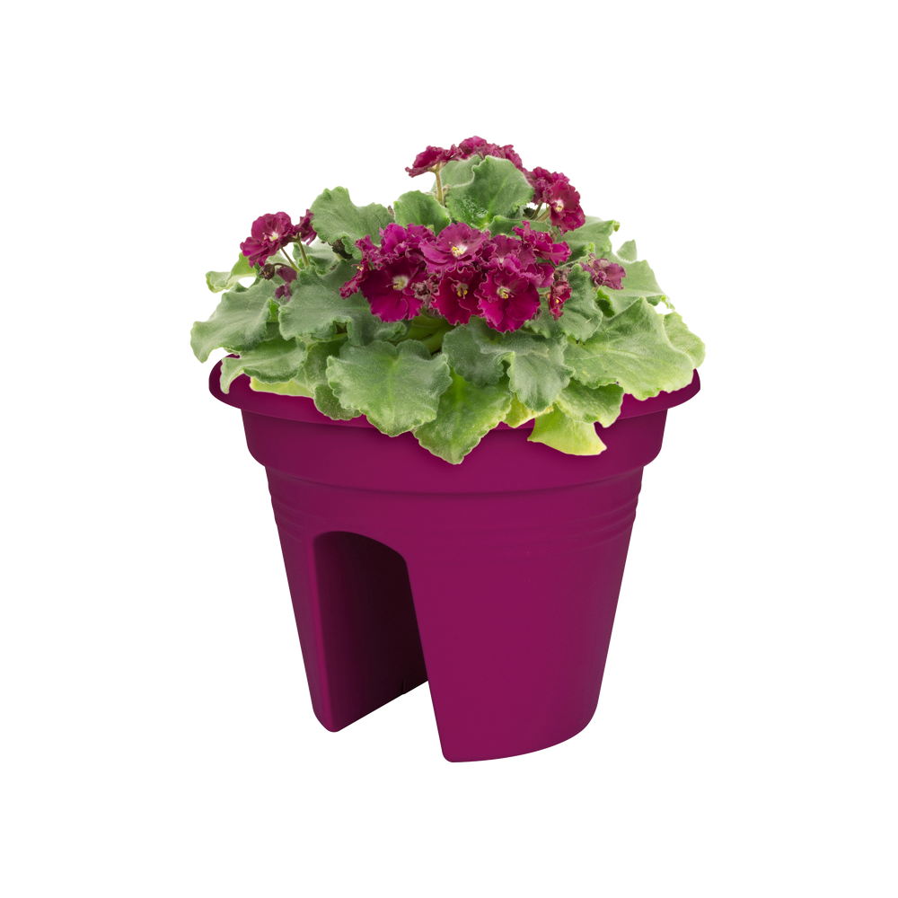 Green Basics Flower Bridge 30