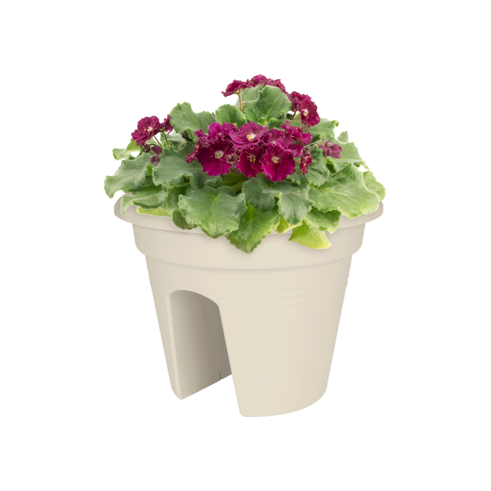 Green Basics Flower Bridge 30