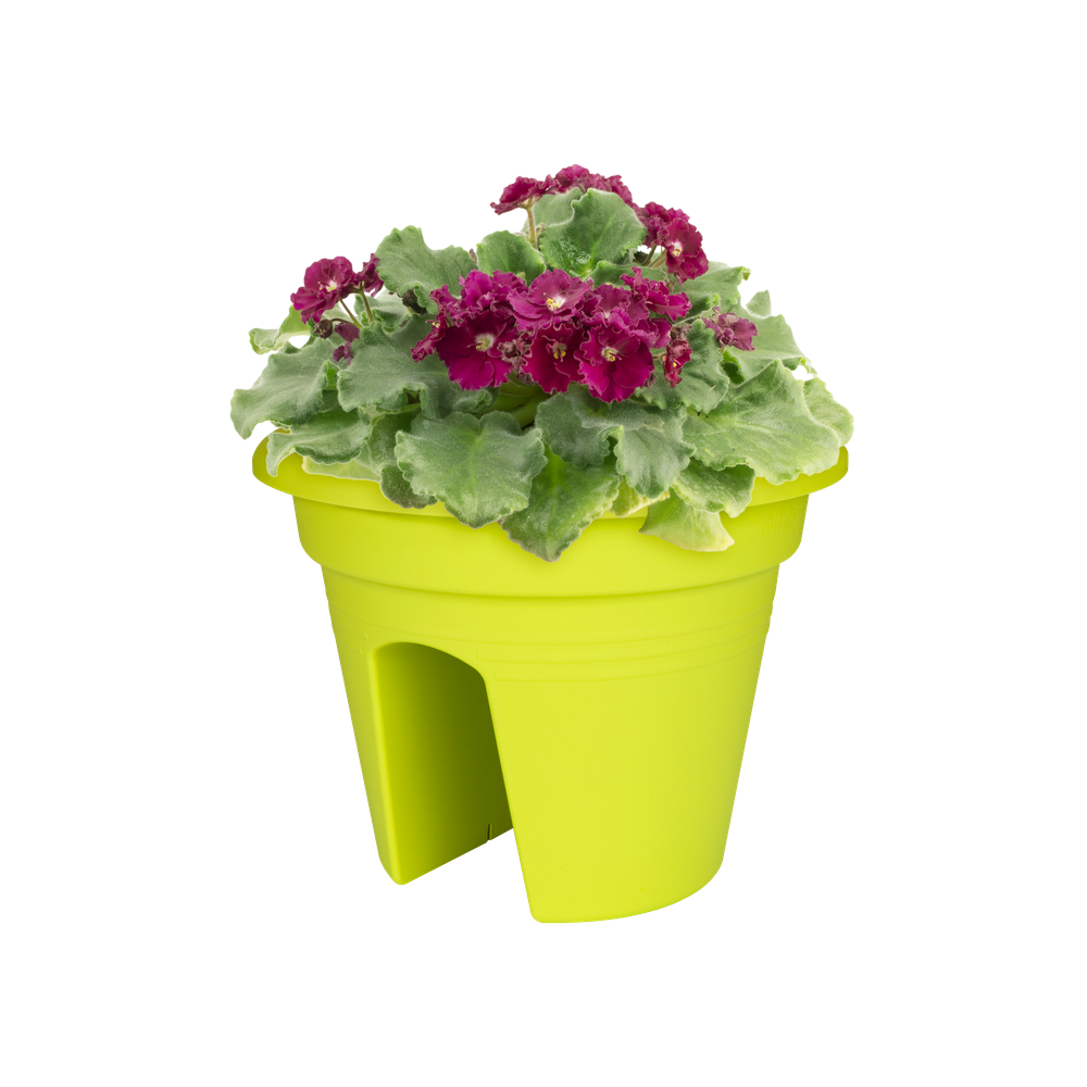 Green Basics Flower Bridge 30