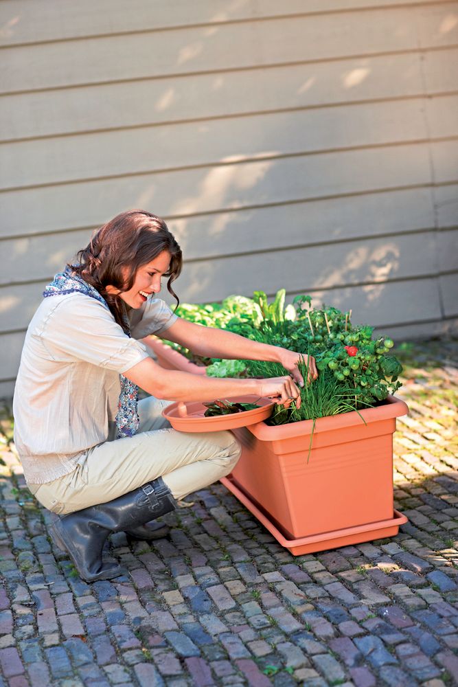 Green Basics Garden Xxl 100