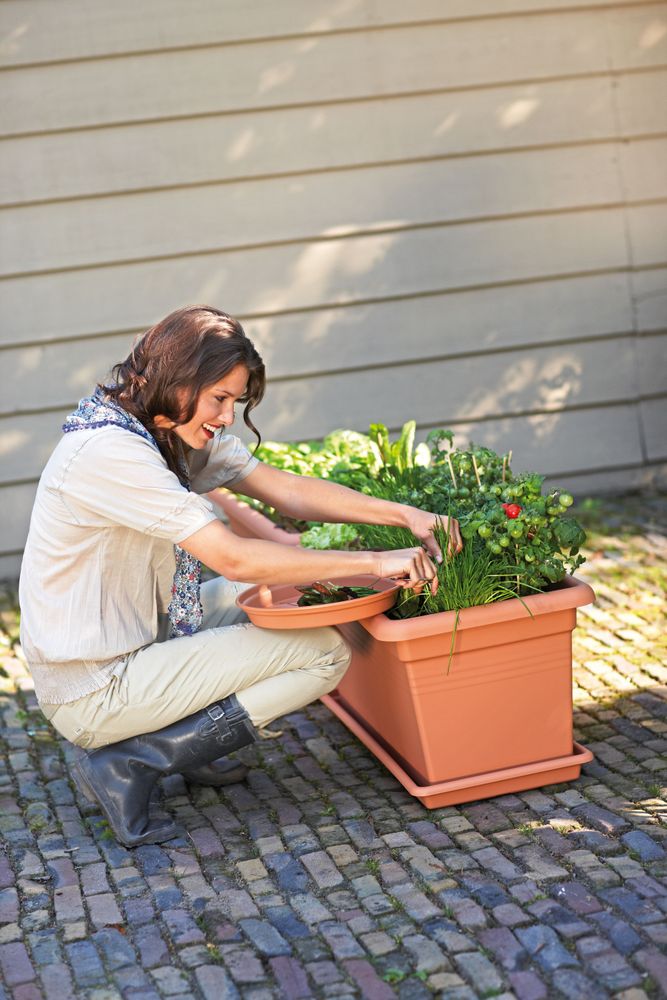 Green Basics Garden Xxl Schotel 100