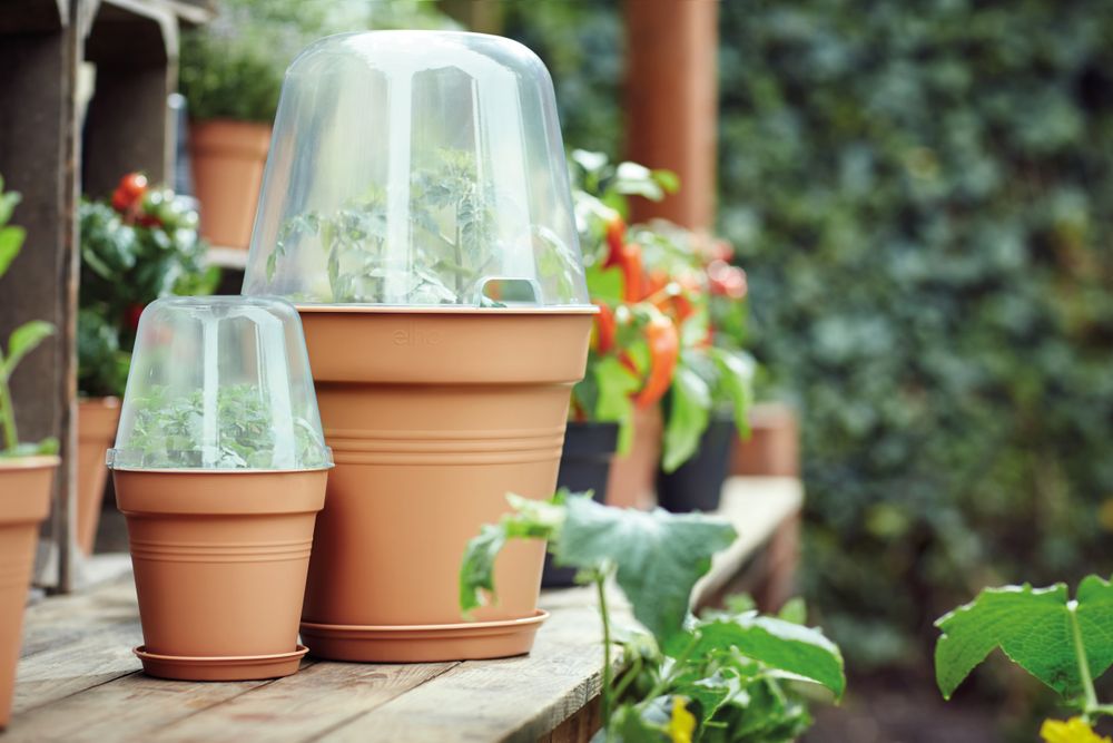 Green Basics Kweekhuis Rond 17