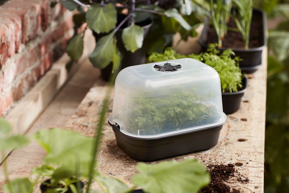 Green Basics Kweektray Schotel S