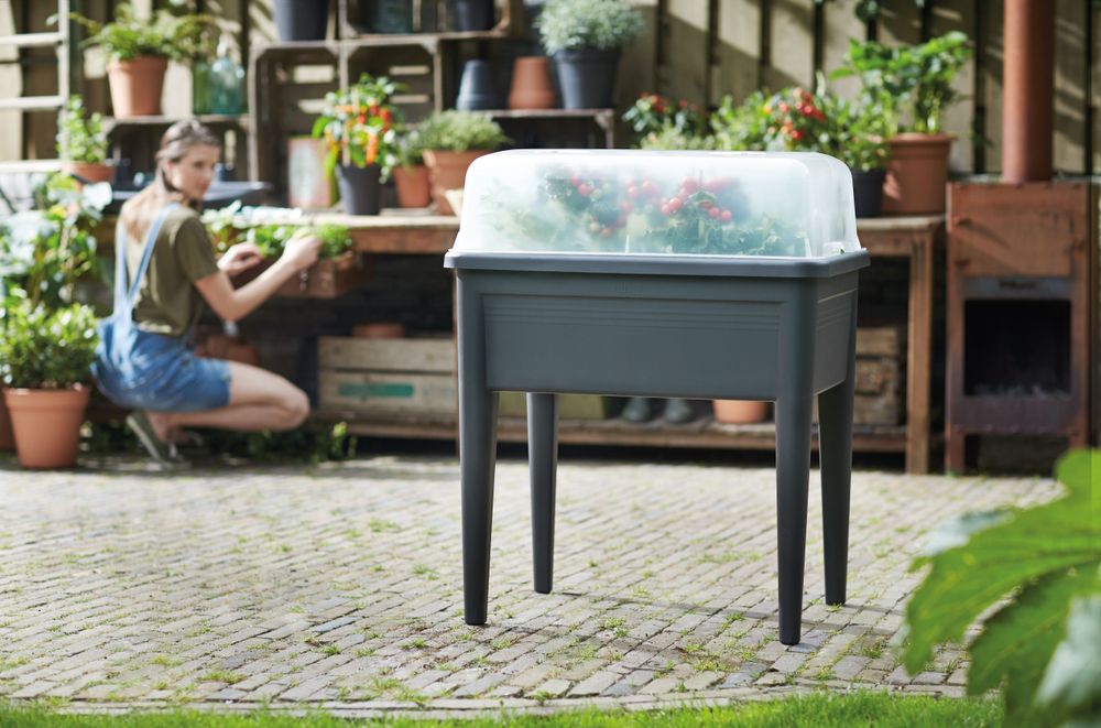 Green Basics Kweekhuis Xxl 75