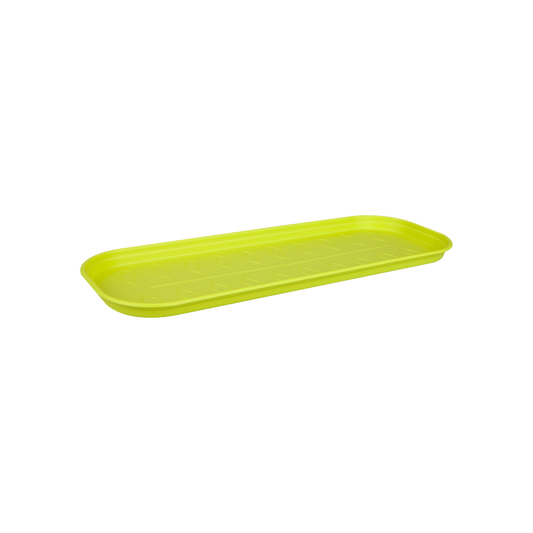 Green Basics Kweektray Schotel L