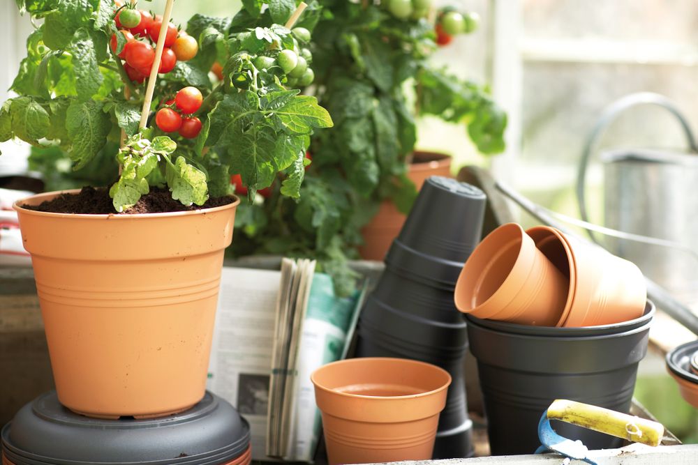 Green Basics Kweekpot 35