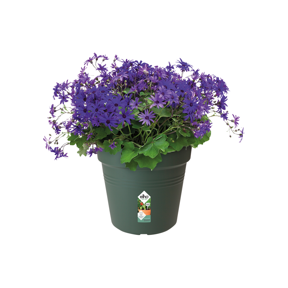 Green Basics Kweekpot 11