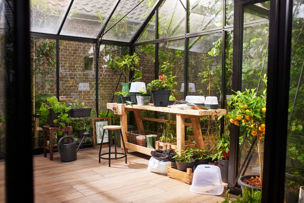 Green Basics Kweektray Allin1 M