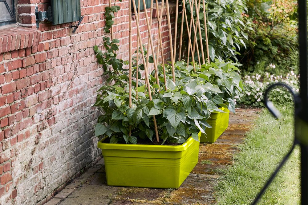 Green Basics Moestuin Op Wielen