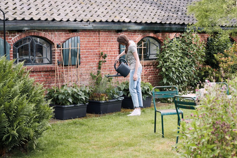 Green Basics Moestuin Op Wielen