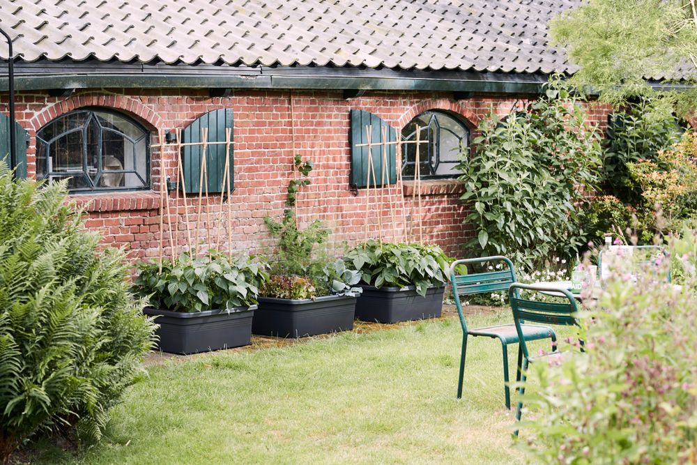 Green Basics Moestuin Op Wielen