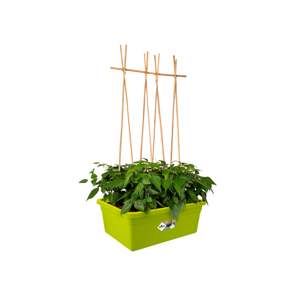 Green Basics Moestuin Op Wielen