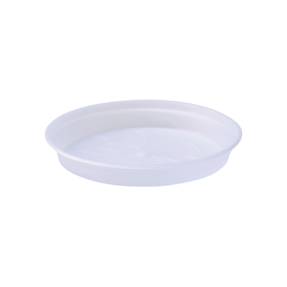 Green Basics Orchidee Schotel 10