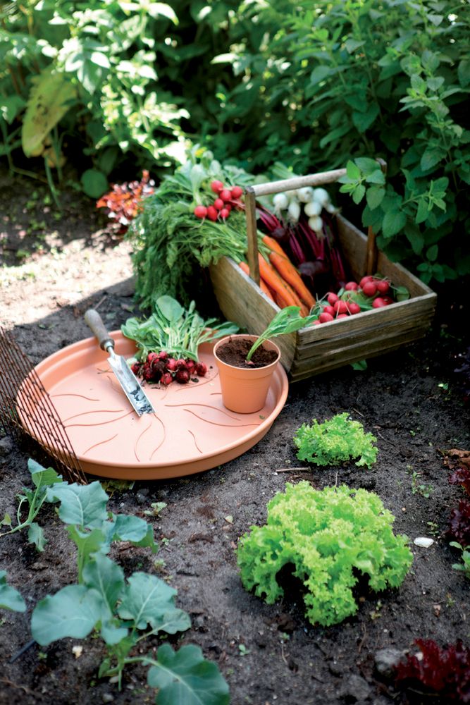 Green Basics Schotel 22