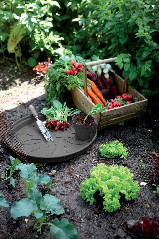 Green Basics Schotel 14