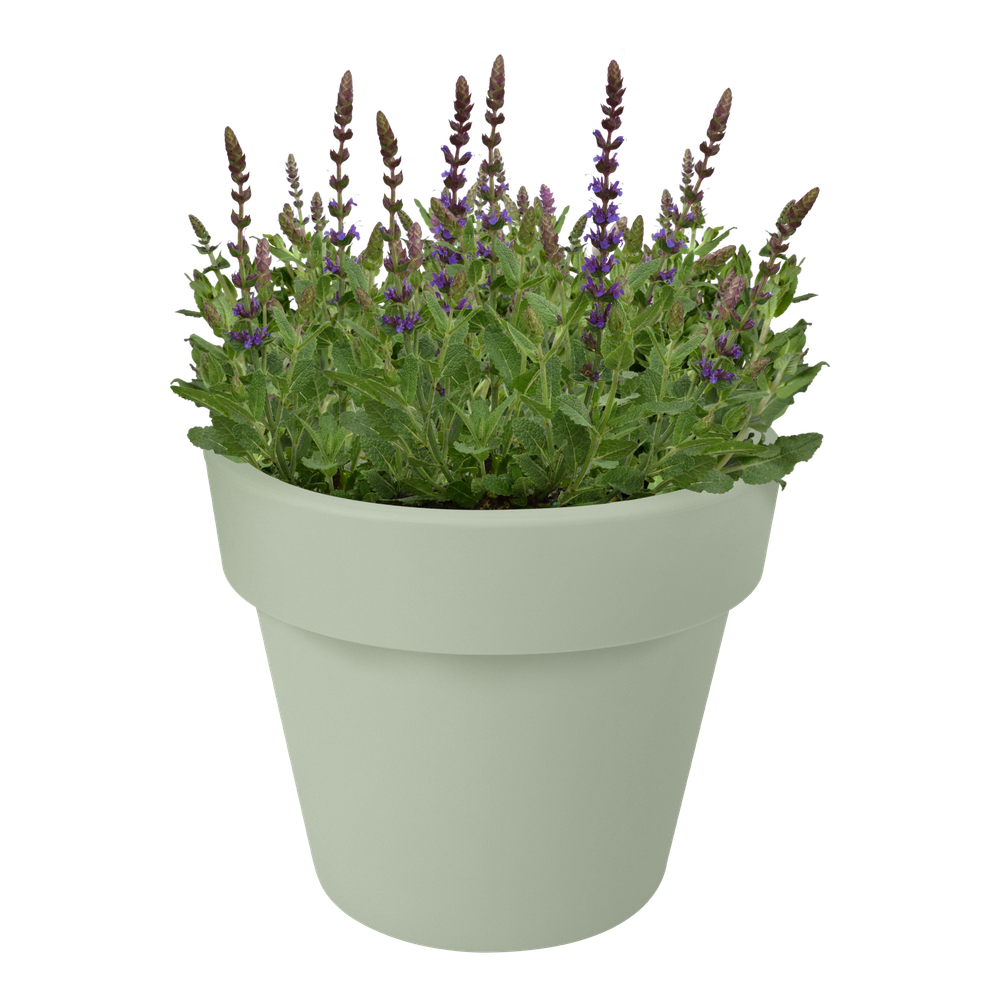 Green Basics Top Planter 47