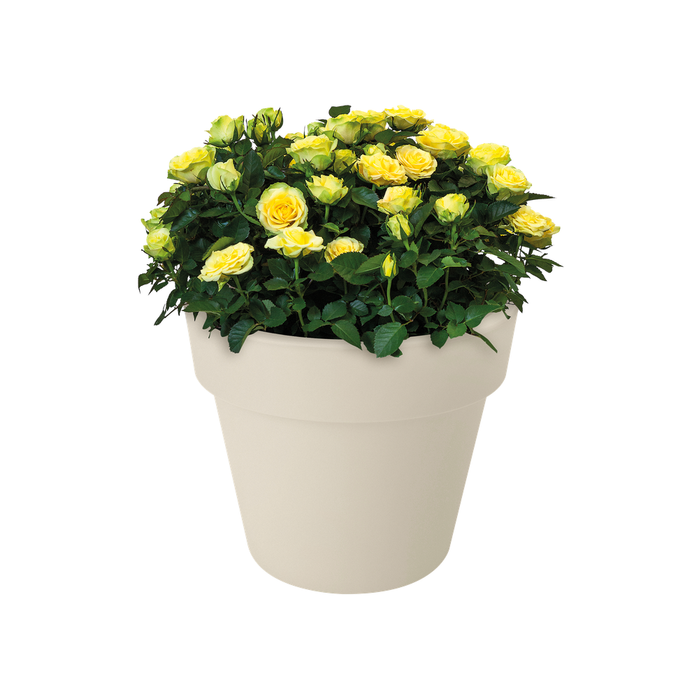 Green Basics Top Planter 47