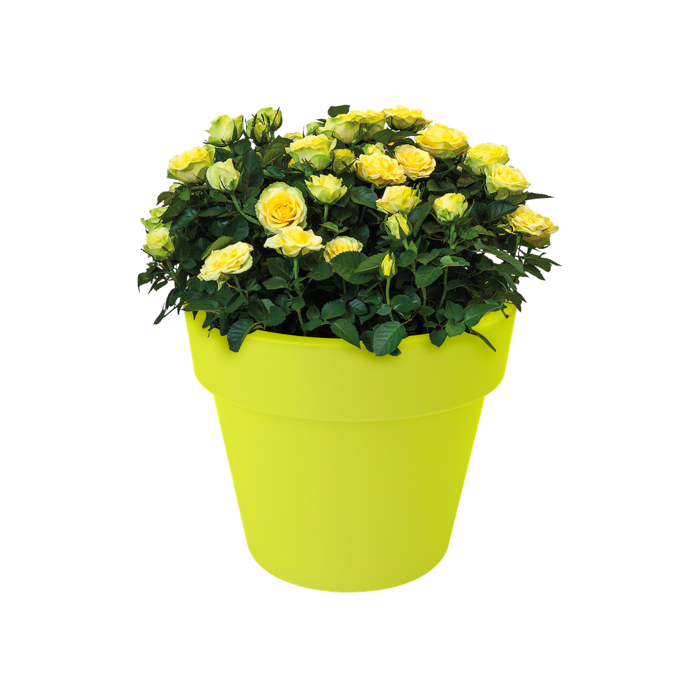 Green Basics Top Planter 40