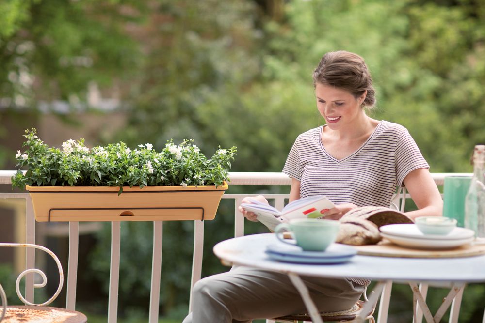 Green Basics Balkonbak Allin1 50