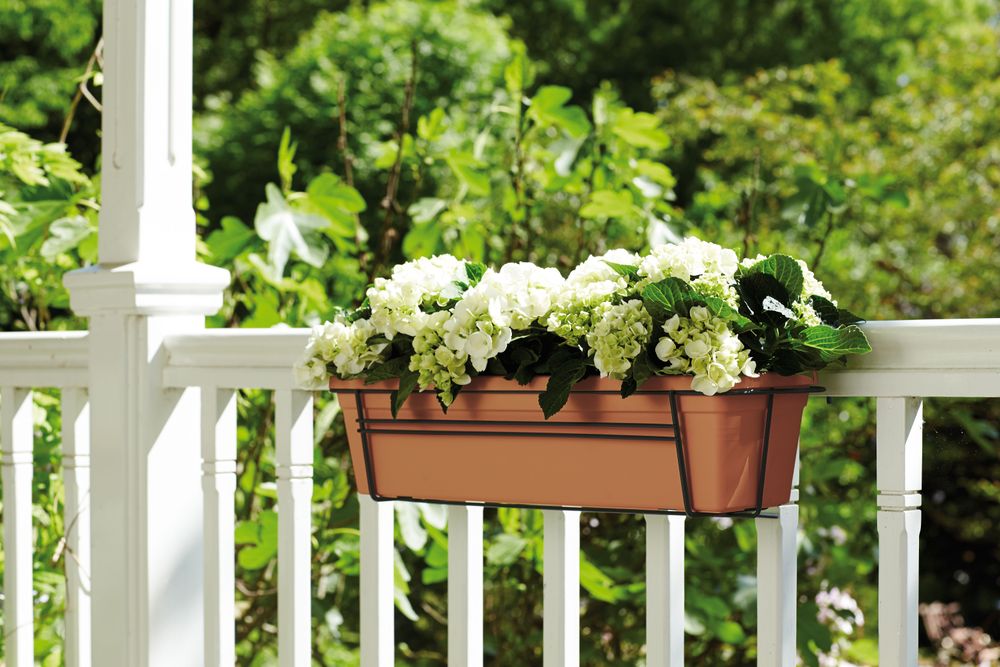 Green Basics Balkonbak 60