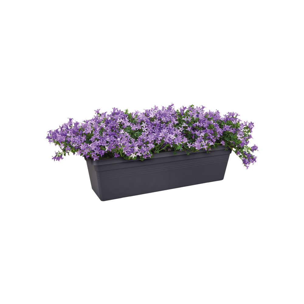 Green Basics Balkonbak 80