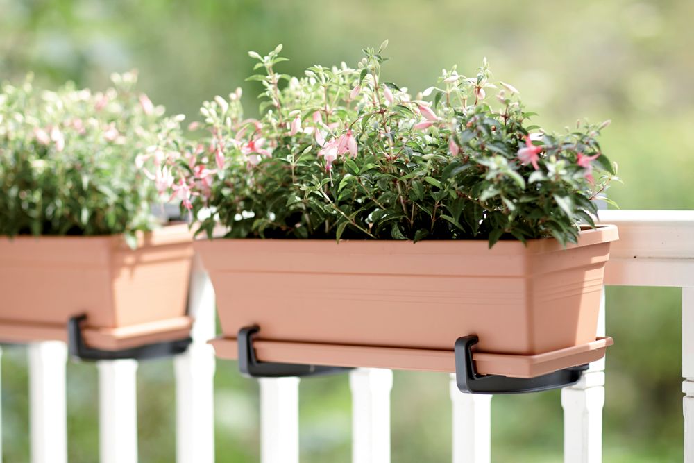 Green Basics Balkonbak Schotel 50