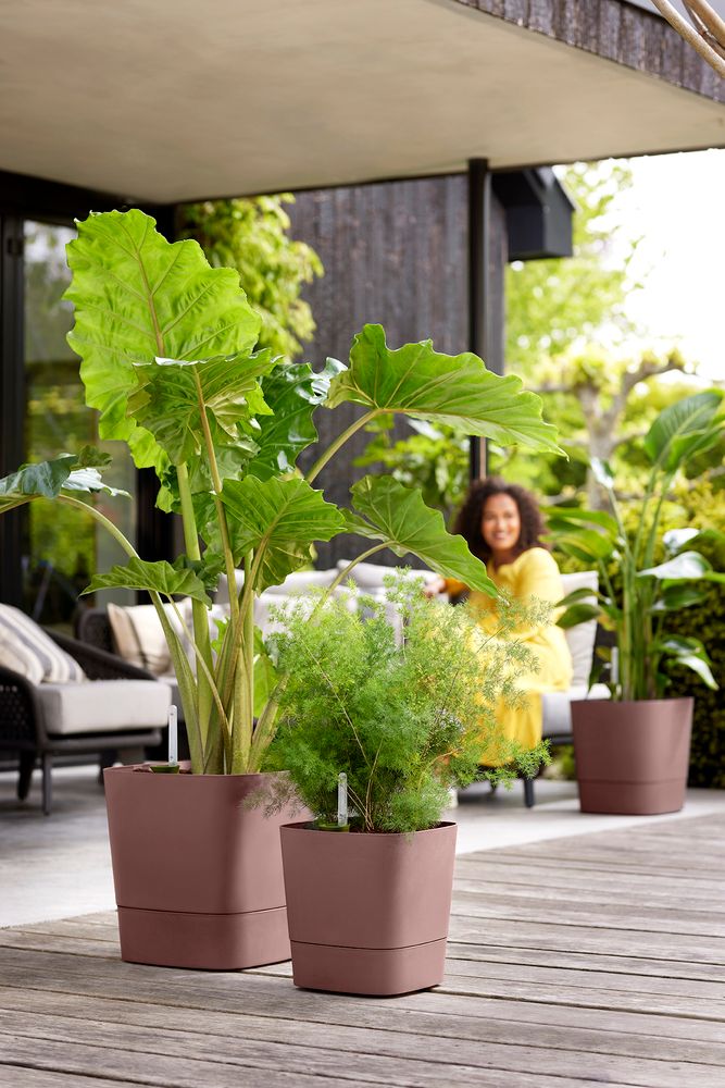 Greensense Aqua Care Vierkant 30