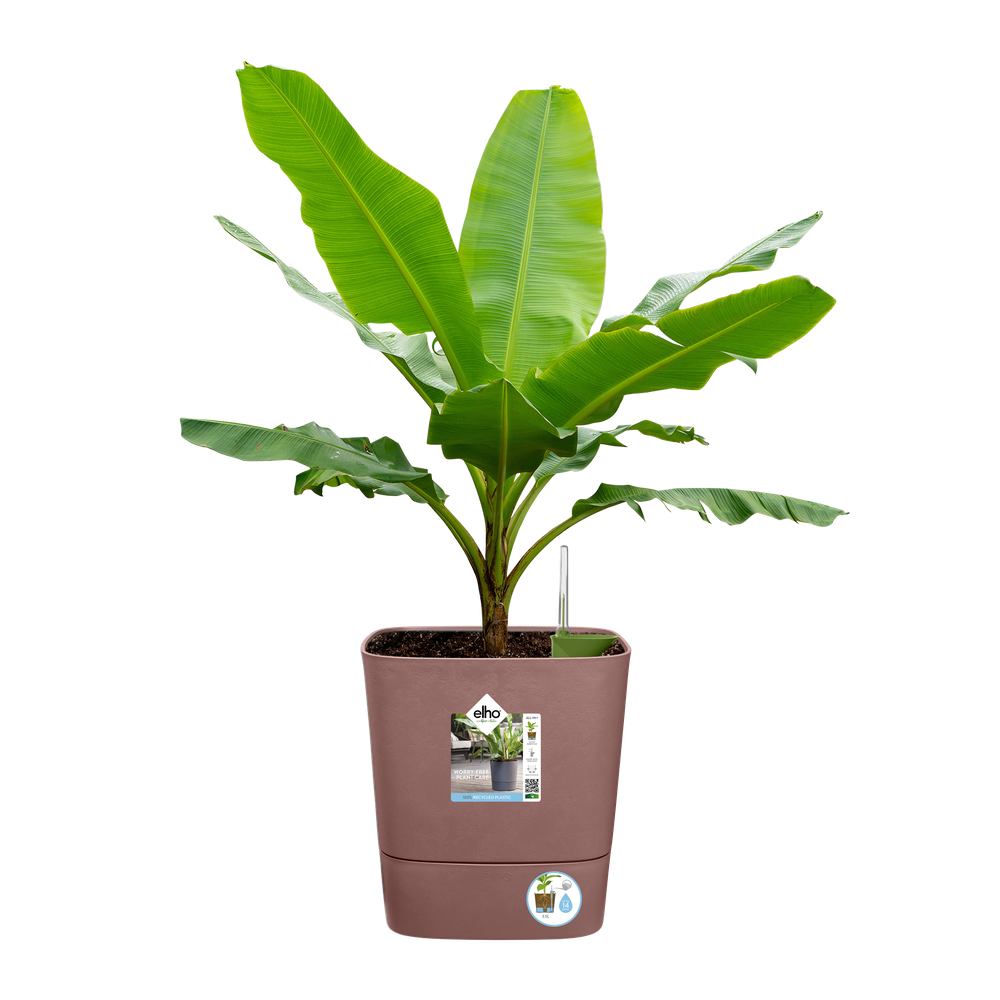 Greensense Aqua Care Vierkant 30