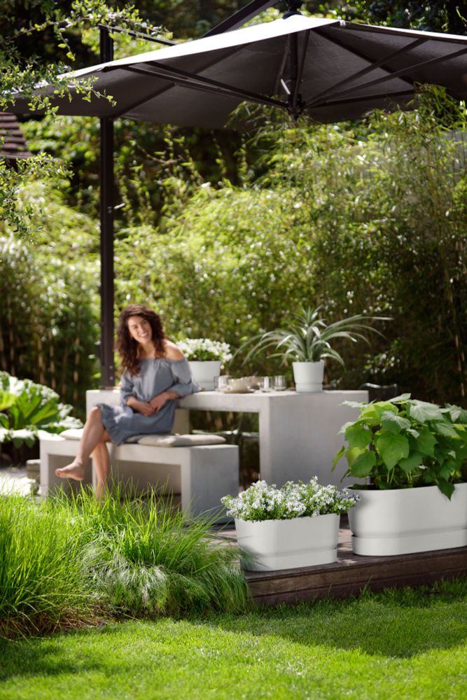 Greenville Terrace Trough 80 Wheels