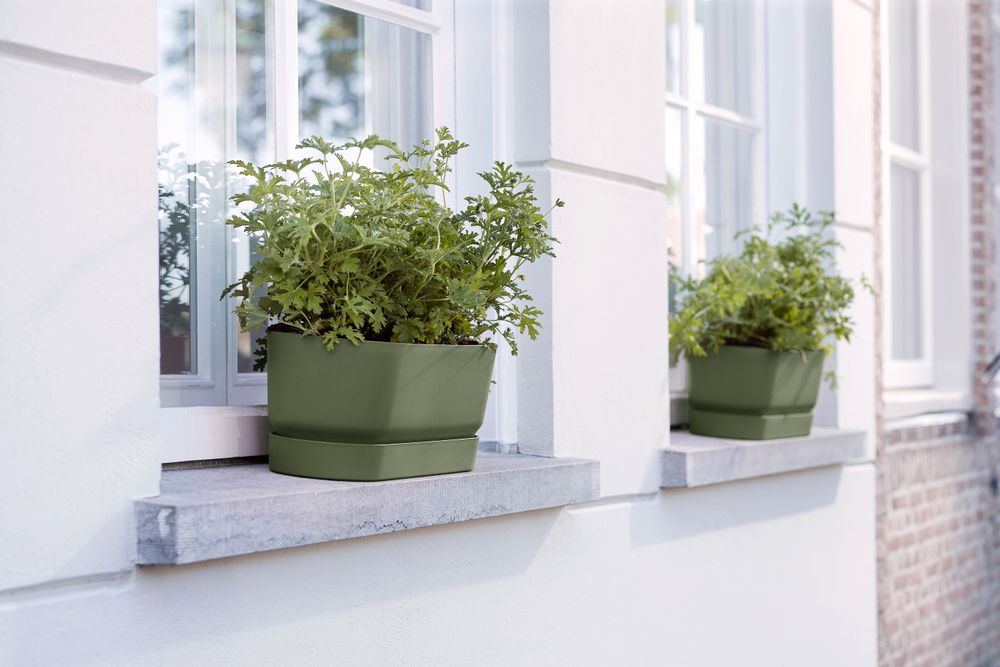 Greenville Trough Long 70