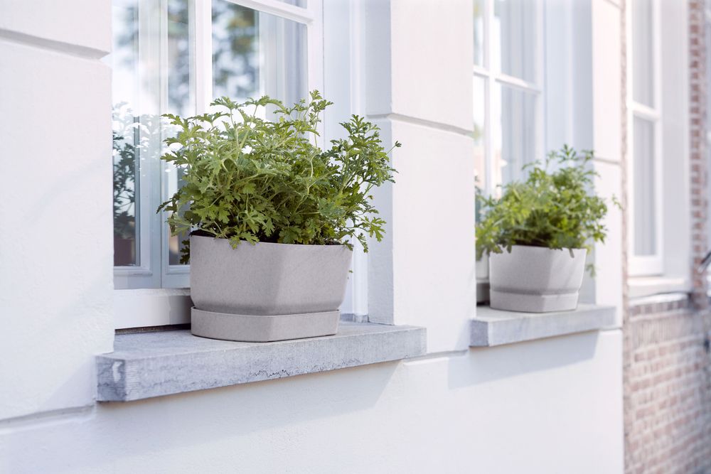 Greenville Trough Long 70