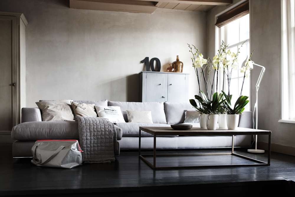 Brussels Diamond Orchidee Hoog 10,5