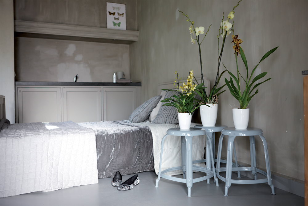 Brussels Diamond Orchidee Hoog 10,5